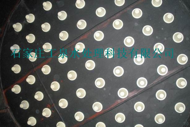 小嫩嫩小少妇BBBBBB仙踪林