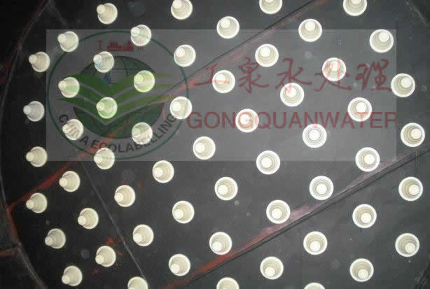 小嫩嫩小少妇BBBBBB仙踪林