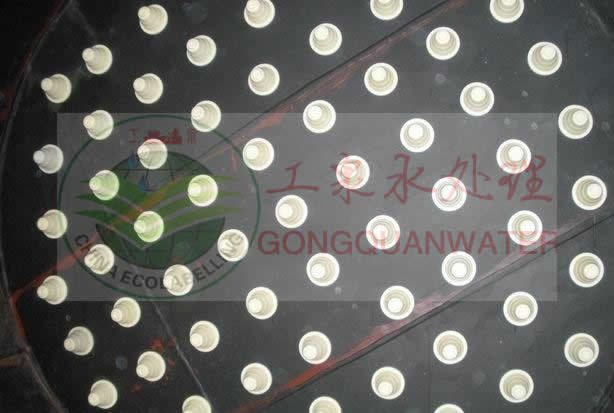 小嫩嫩小少妇BBBBBB仙踪林