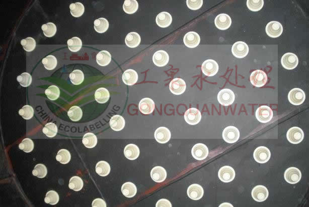 小嫩嫩小少妇BBBBBB仙踪林