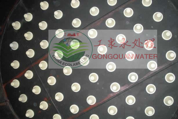 小嫩嫩小少妇BBBBBB仙踪林